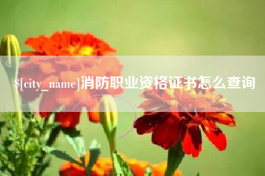 开原消防职业资格证书怎么查询