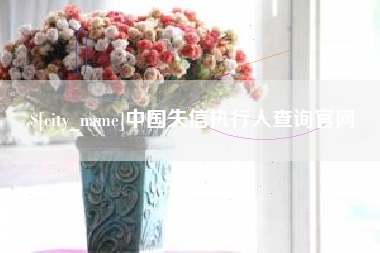 开原中国失信执行人查询官网