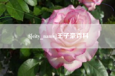 开原王子豪百科