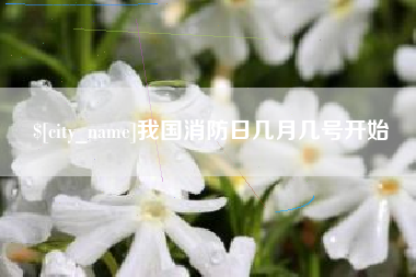 开原我国消防日几月几号开始