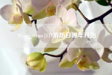 开原119消防日哪年开始