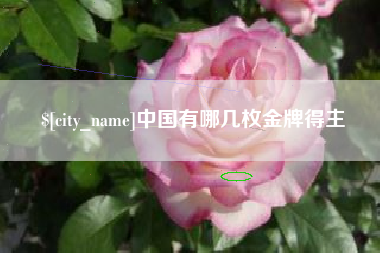 开原中国有哪几枚金牌得主