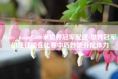 开原5000米世界冠军配速-世界冠军们往往能在比赛中巧妙地分配体力