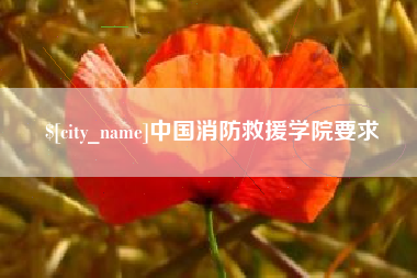 开原中国消防救援学院要求