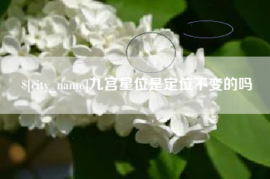 开原九宫星位是定位不变的吗