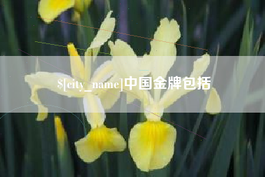 开原中国金牌包括