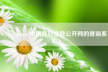 开原中国执行信息公开网的查询系统