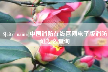 开原中国消防在线官网电子版消防证怎么查询
