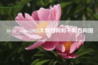 开原2025大利方向和不利方向图