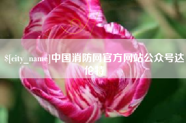 开原中国消防网官方网站公众号达伦特