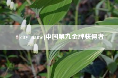 开原中国第九金牌获得者