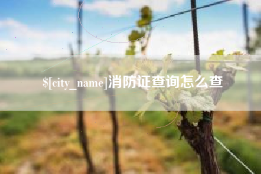 开原消防证查询怎么查