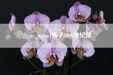 开原男子5000米纪录