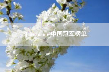 开原中国冠军榜单
