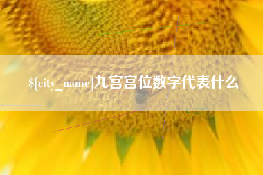 开原九宫宫位数字代表什么