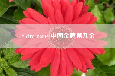 开原中国金牌第九金