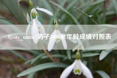 开原男子5000米年龄成绩对照表