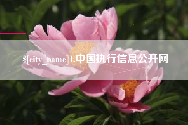 开原1.中国执行信息公开网
