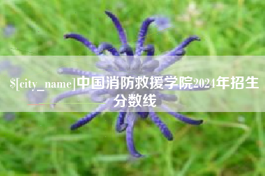 开原中国消防救援学院2024年招生分数线