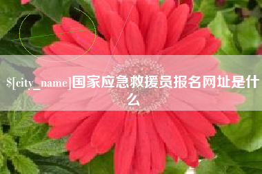 开原国家应急救援员报名网址是什么