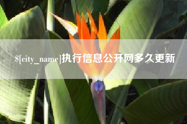 开原执行信息公开网多久更新