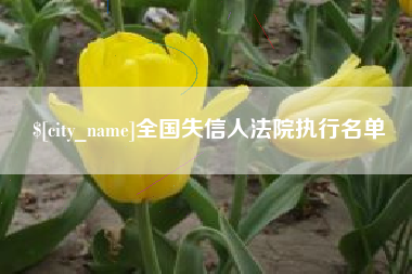 开原全国失信人法院执行名单