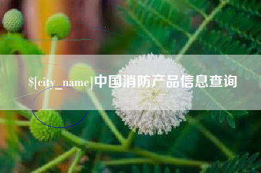 开原中国消防产品信息查询