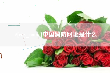 开原中国消防网址是什么