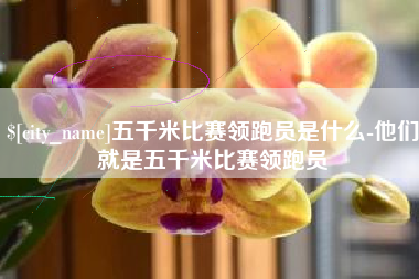 开原五千米比赛领跑员是什么-他们就是五千米比赛领跑员