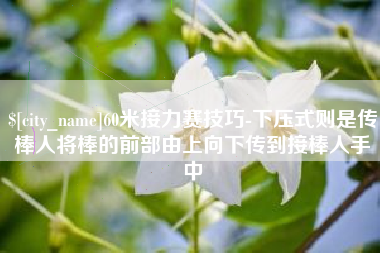 开原60米接力赛技巧-下压式则是传棒人将棒的前部由上向下传到接棒人手中