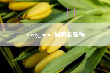 开原消防张雪梅