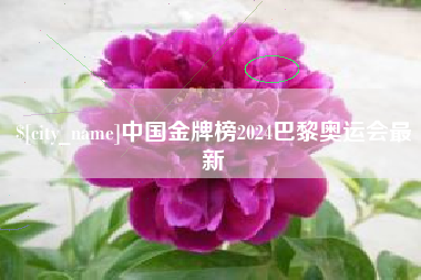 开原中国金牌榜2024巴黎奥运会最新
