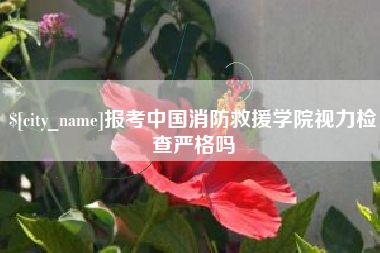 开原报考中国消防救援学院视力检查严格吗