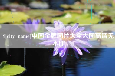 开原中国金牌图片大全大图高清无水印