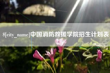 开原中国消防救援学院招生计划表
