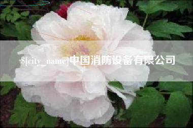 开原中国消防设备有限公司