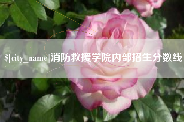 开原消防救援学院内部招生分数线
