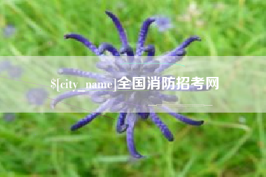 开原全国消防招考网