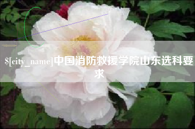 开原中国消防救援学院山东选科要求