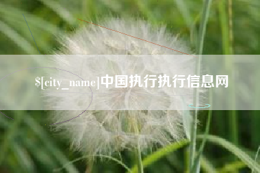 开原中国执行执行信息网