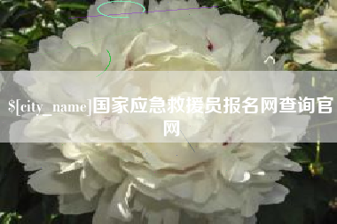 开原国家应急救援员报名网查询官网