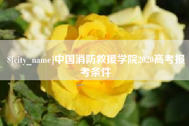 开原中国消防救援学院2020高考报考条件