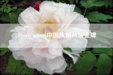 开原中国队第八块金牌