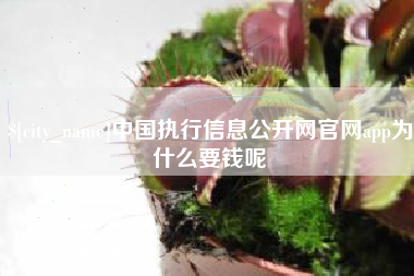 开原中国执行信息公开网官网app为什么要钱呢