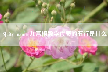 开原九宫格数字代表的五行是什么