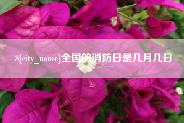 开原全国的消防日是几月几日