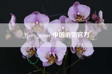 开原中国消防官方