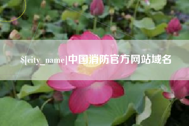 开原中国消防官方网站域名