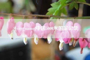 开原中国5000米国家记录