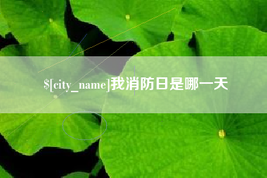开原我消防日是哪一天